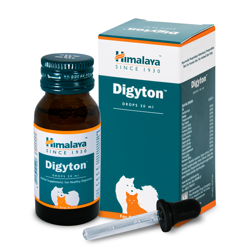 Digyton Drops - Digestive Stimulant